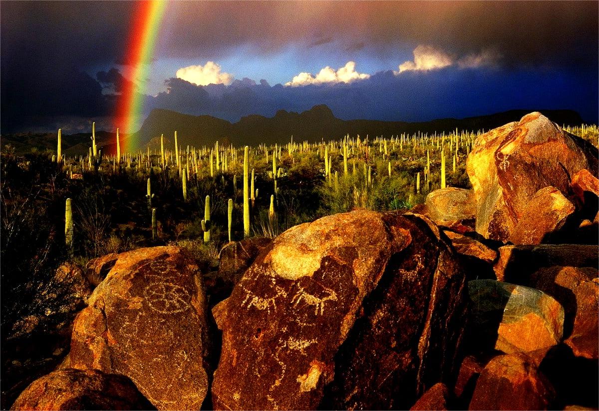 secrets-of-arizonas-rainbow-forest-sea-floors