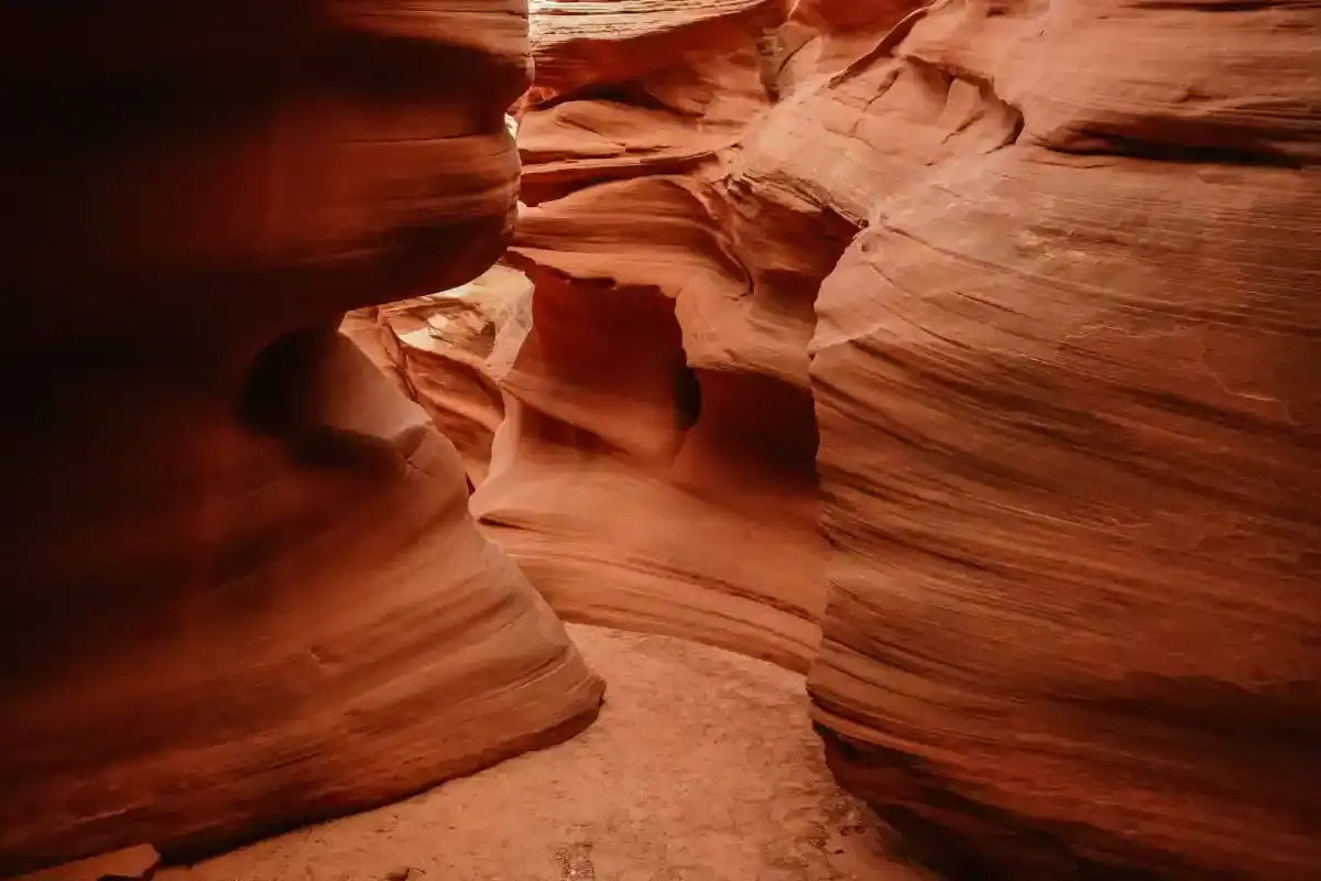 secrets-of-arizonas-water-holes-canyon