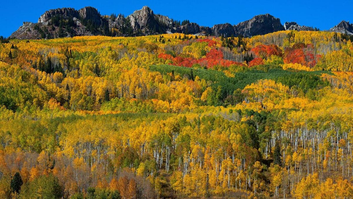 Secrets-Of-Aspen-Grove-At-Kebler-Pass secrets-of-aspen-grove-at-kebler-pass
