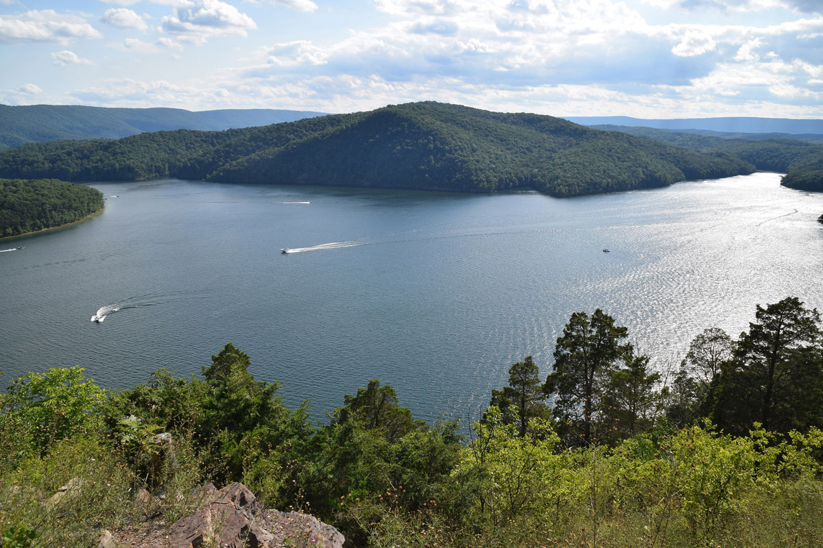 Secrets-Of-Bald-Eagle-Nesting-At-Raystown-Lake-In-Pennsylvania secrets-of-bald-eagle-nesting-at-raystown-lake-in-pennsylvania