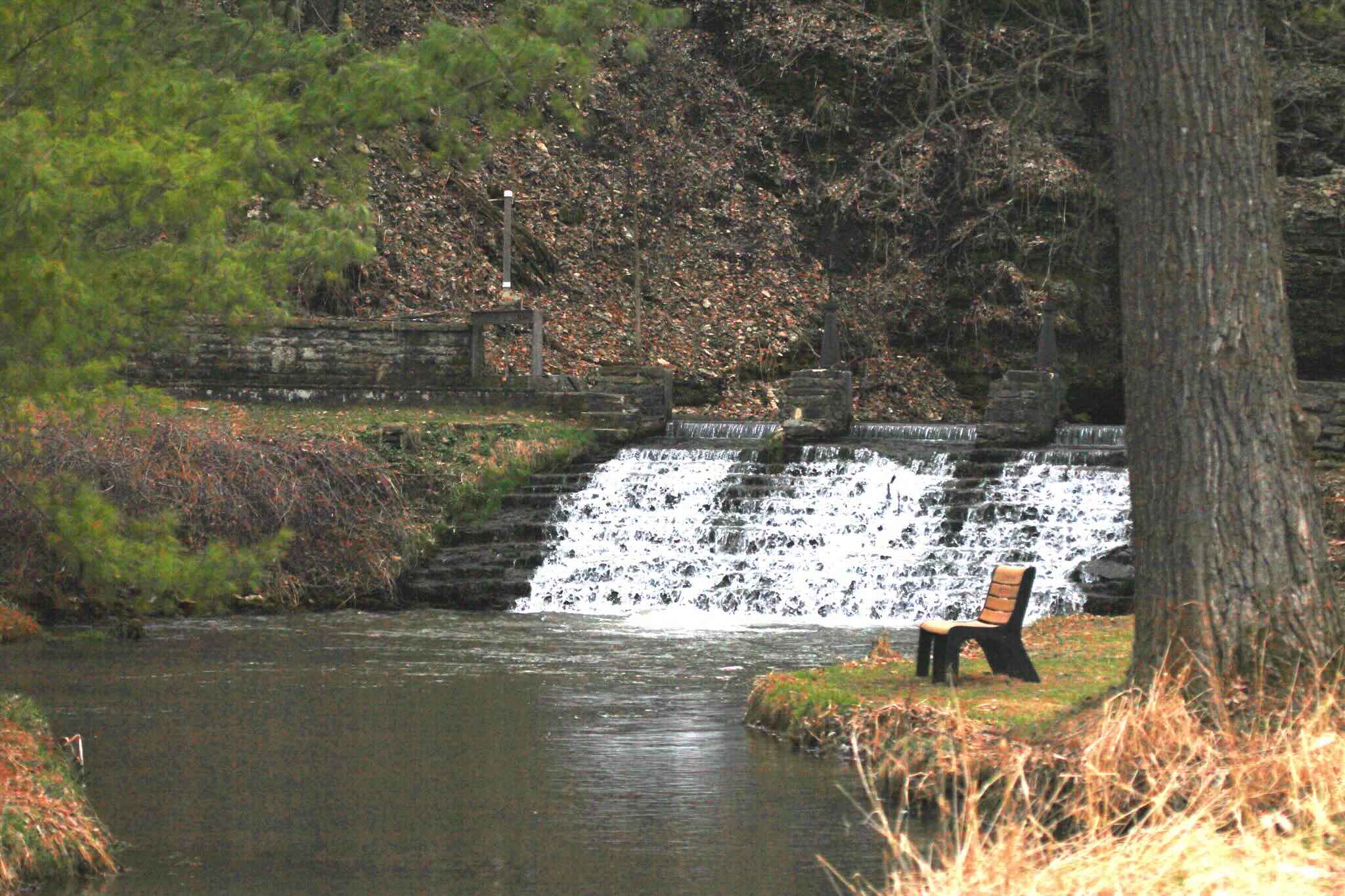 Secrets-Of-Bald-Eagle-Nesting-In-Iowa8217s-Decorah-Fish-Hatchery secrets-of-bald-eagle-nesting-in-iowas-decorah-fish-hatchery