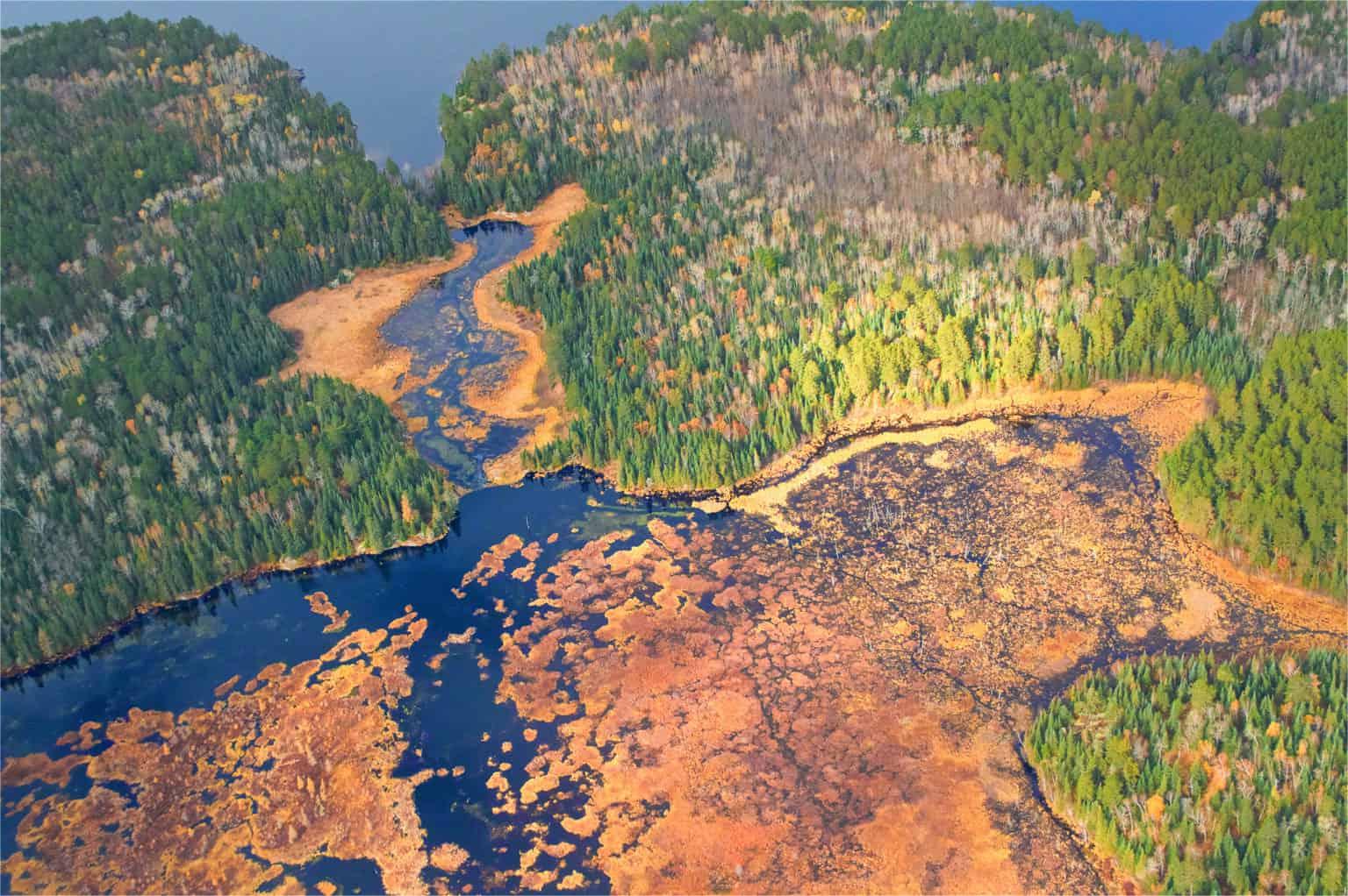 secrets-of-beaver-dam-ecosystems-in-minnesotas-nemadji-state-forest