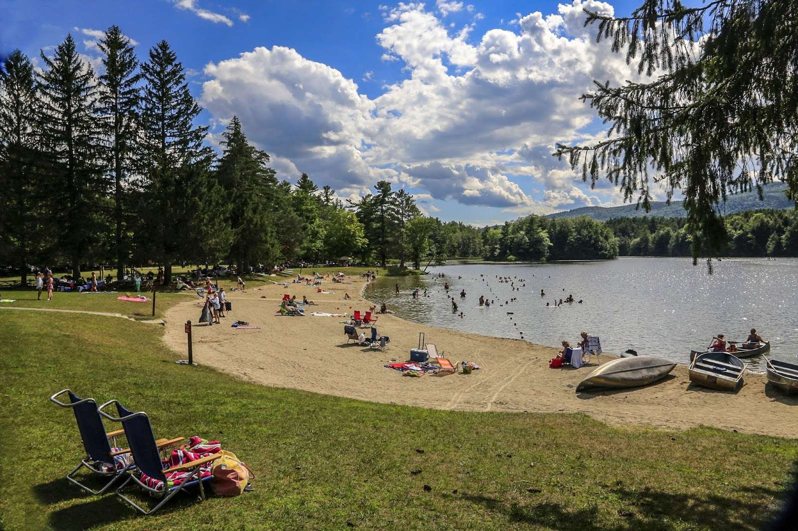 secrets-of-beaver-pond-ecosystems-in-vermonts-woodford-state-park