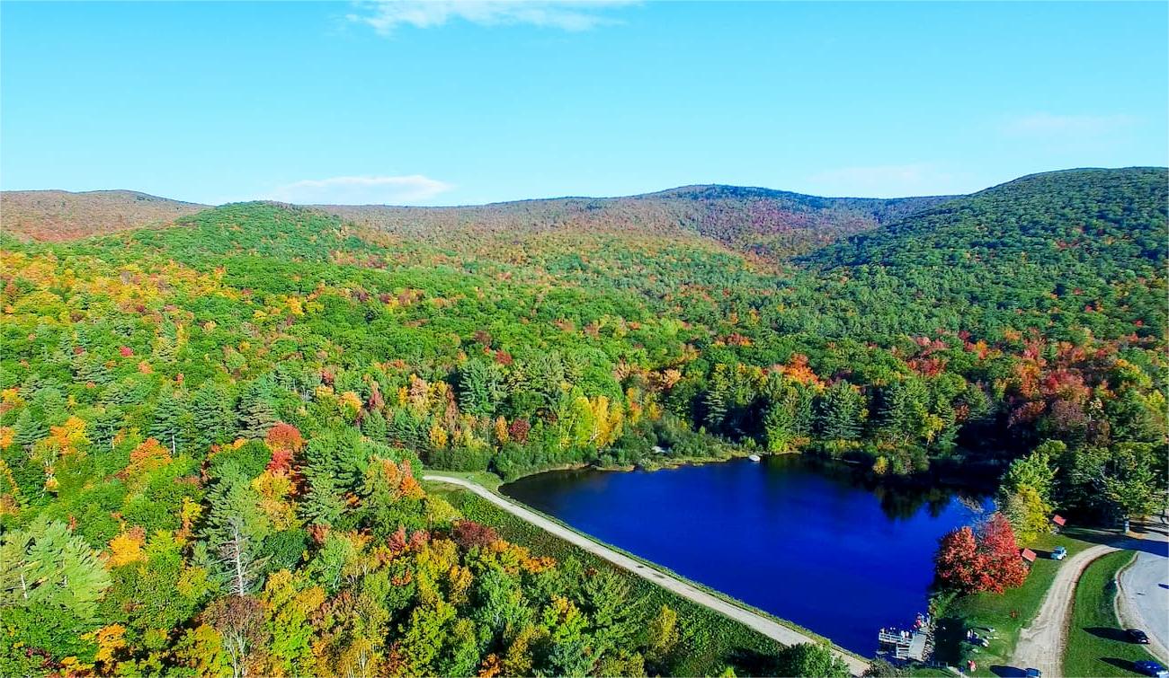 secrets-of-bobcat-territories-in-vermonts-green-mountain-national-forest