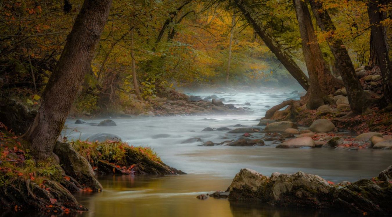 secrets-of-cades-coves-mountain-gristmills