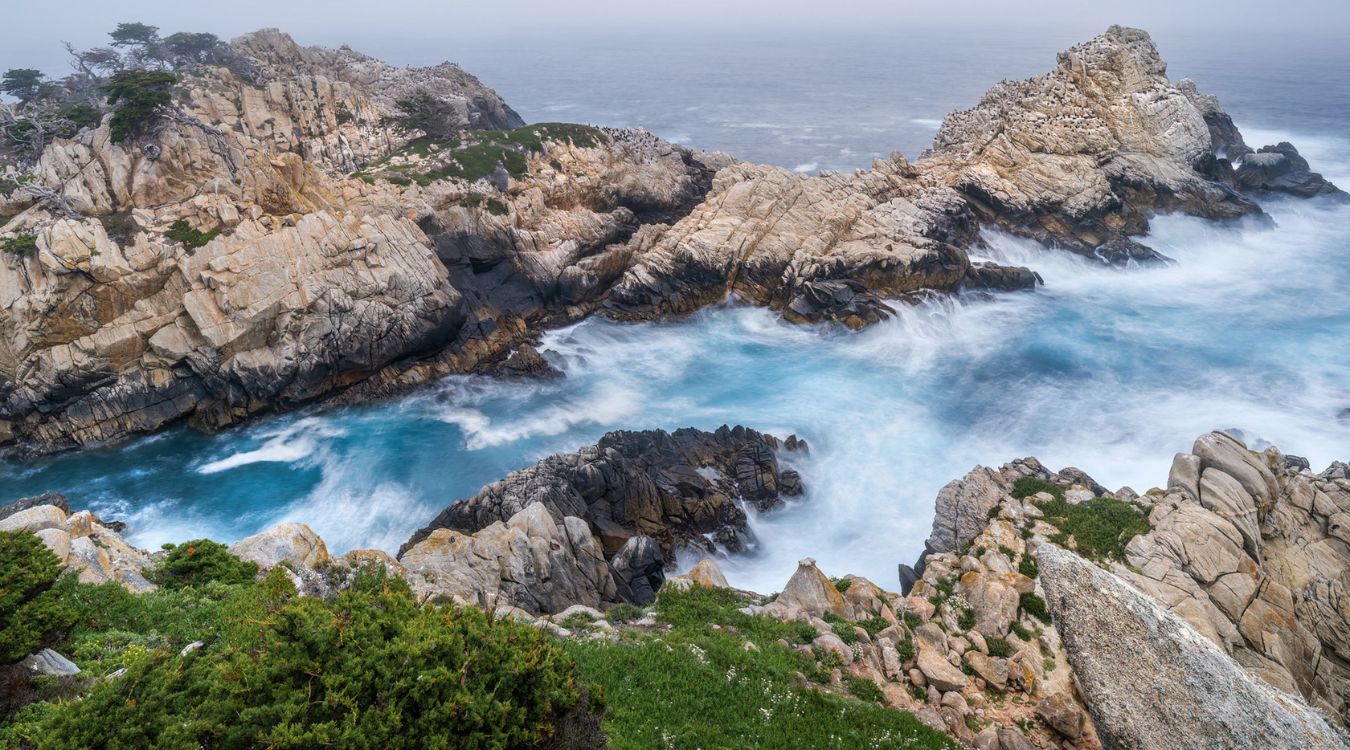Secrets-Of-California8217s-Point-Lobos-Tidal-Pools secrets-of-californias-point-lobos-tidal-pools