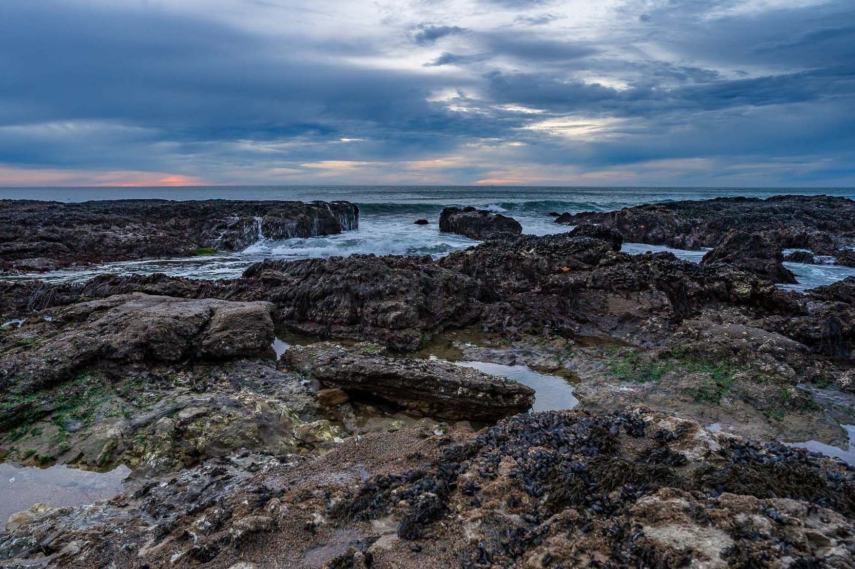 secrets-of-californias-point-reyes-tide-pools