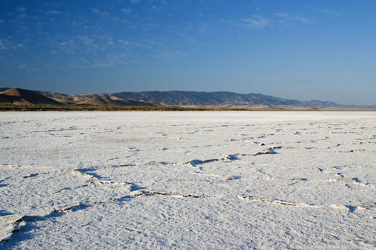 Secrets-Of-California8217s-Soda-Lake-Alkali-Flats secrets-of-californias-soda-lake-alkali-flats