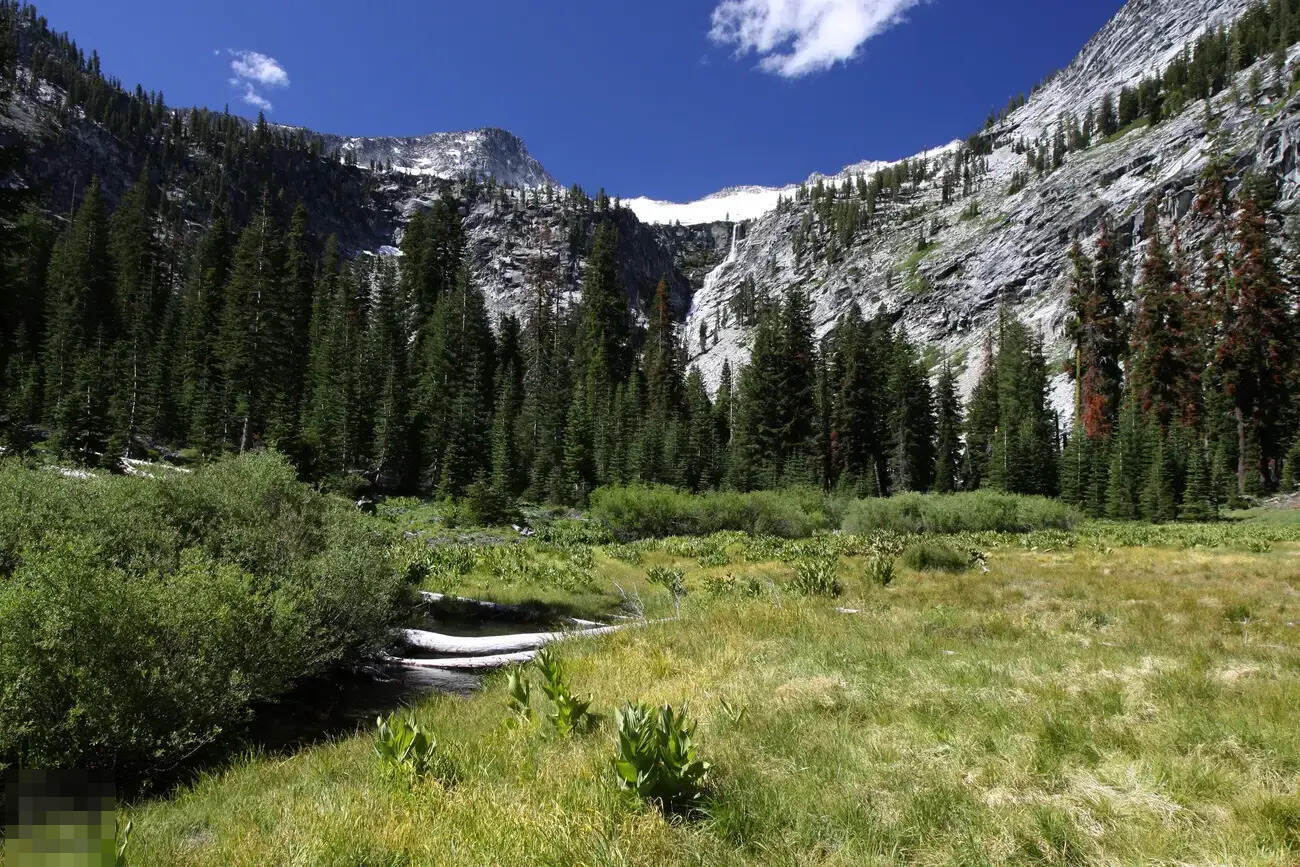 Secrets-Of-California8217s-Trinity-Alps-Forest-Glades secrets-of-californias-trinity-alps-forest-glades