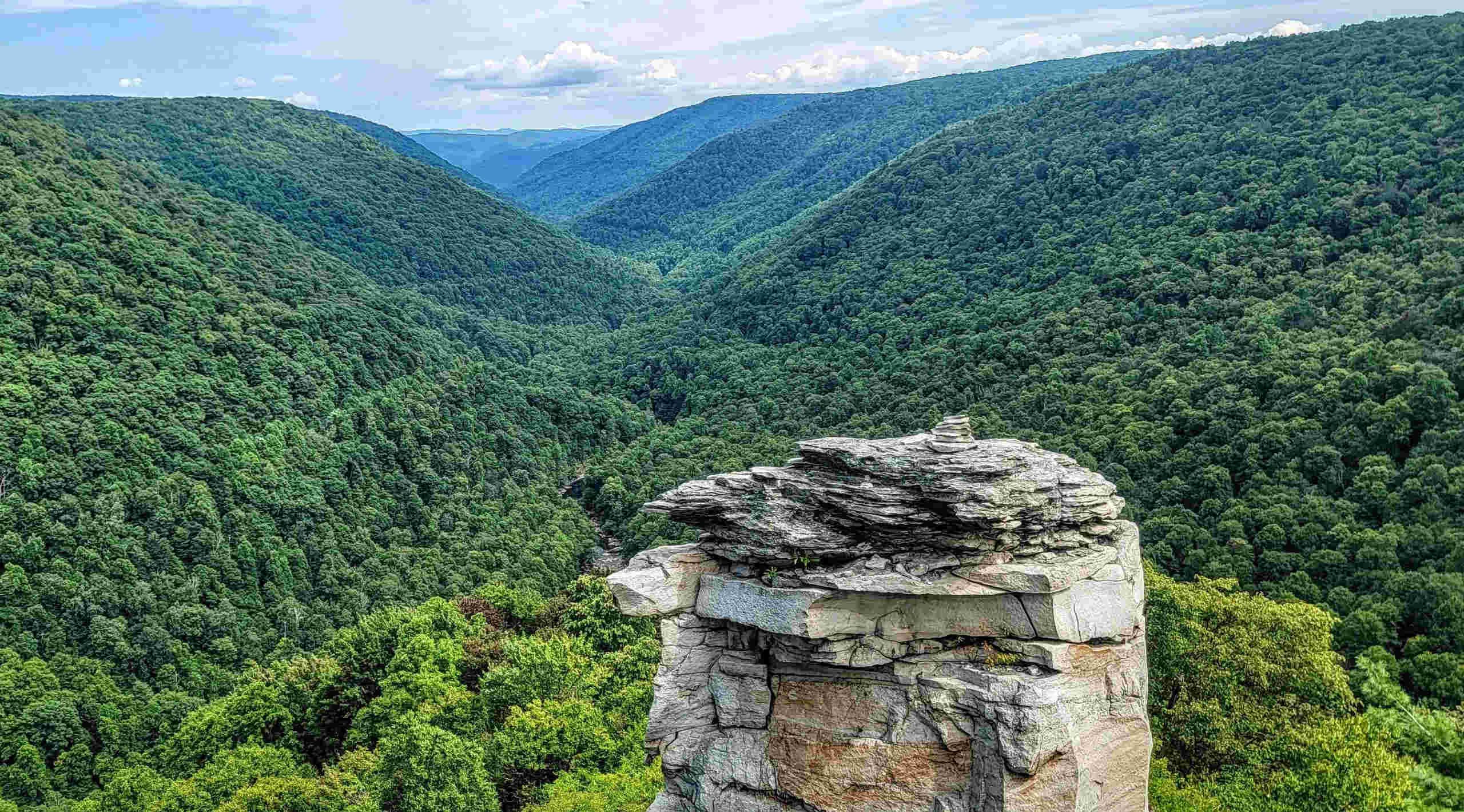 Secrets-Of-Canaan-Valley8217s-Mountain-Streams secrets-of-canaan-valleys-mountain-streams