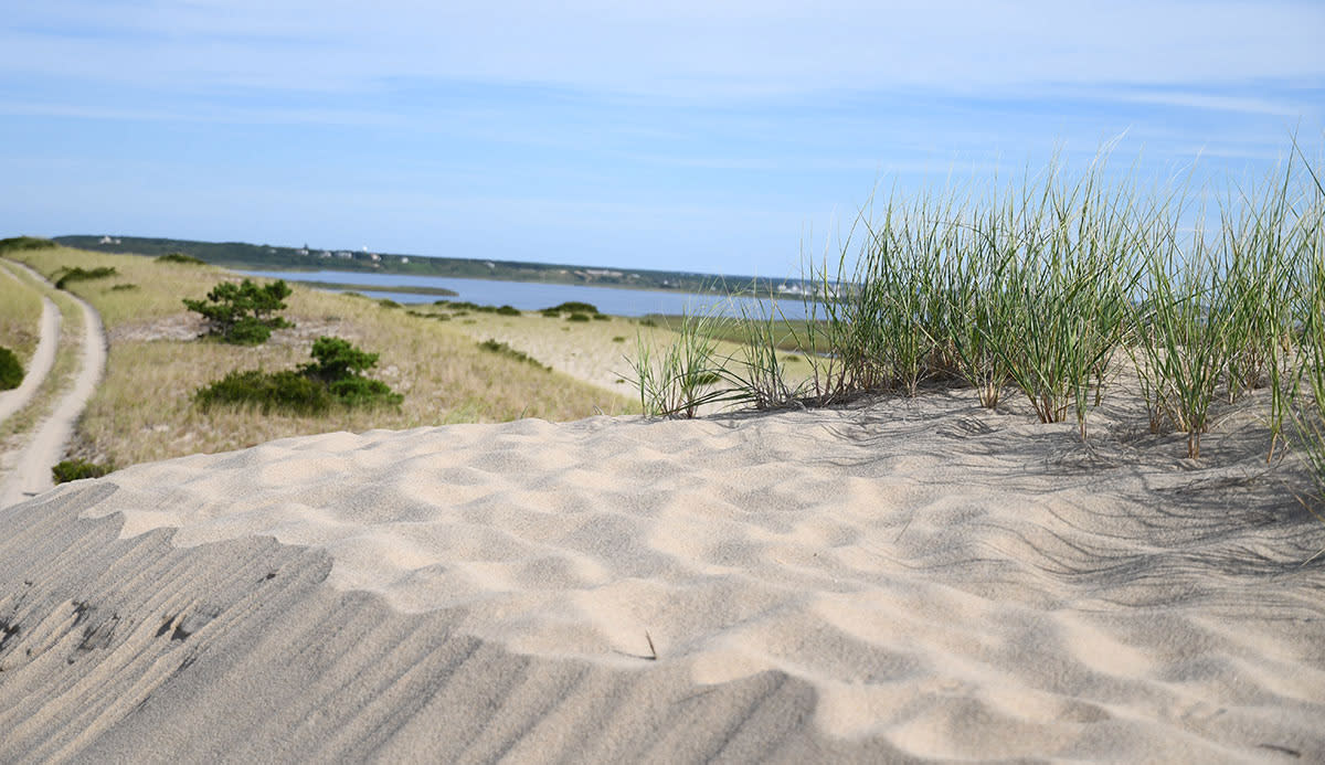 Secrets-Of-Cape-Cod8217s-Coastal-Dune-Ponds secrets-of-cape-cods-coastal-dune-ponds