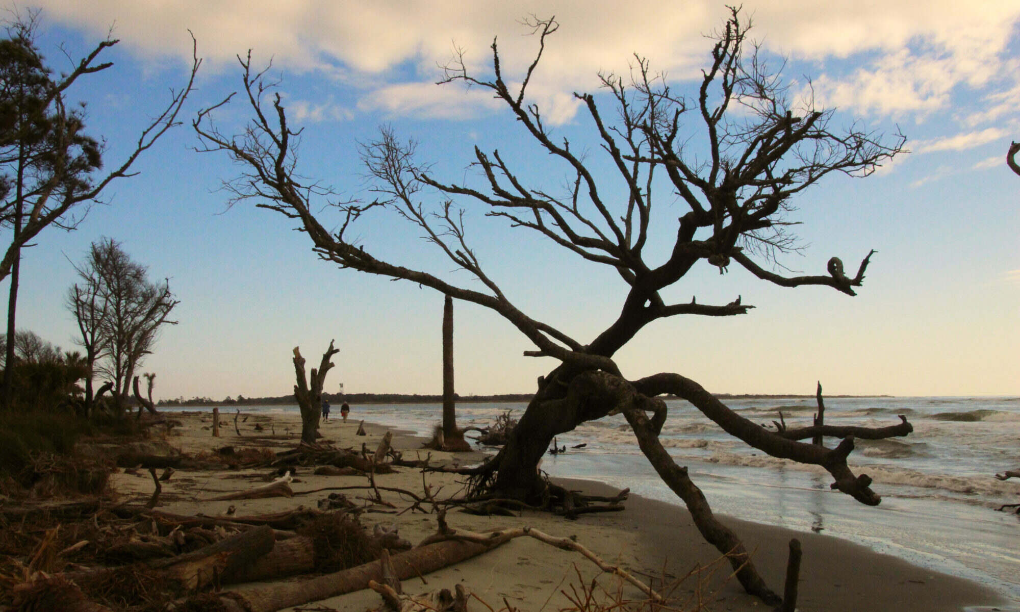 secrets-of-capers-islands-barrier-ecosystems