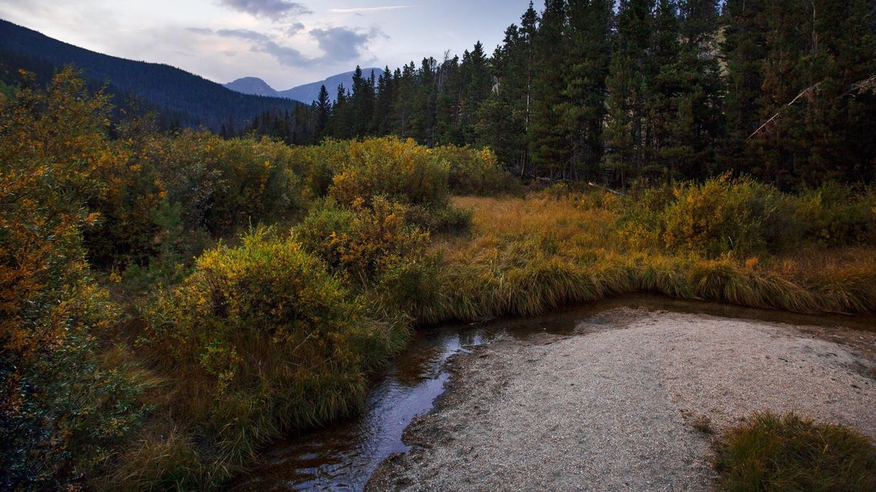 Secrets-Of-Colorado8217s-Rocky-Mountain-Beaver-Ponds secrets-of-colorados-rocky-mountain-beaver-ponds