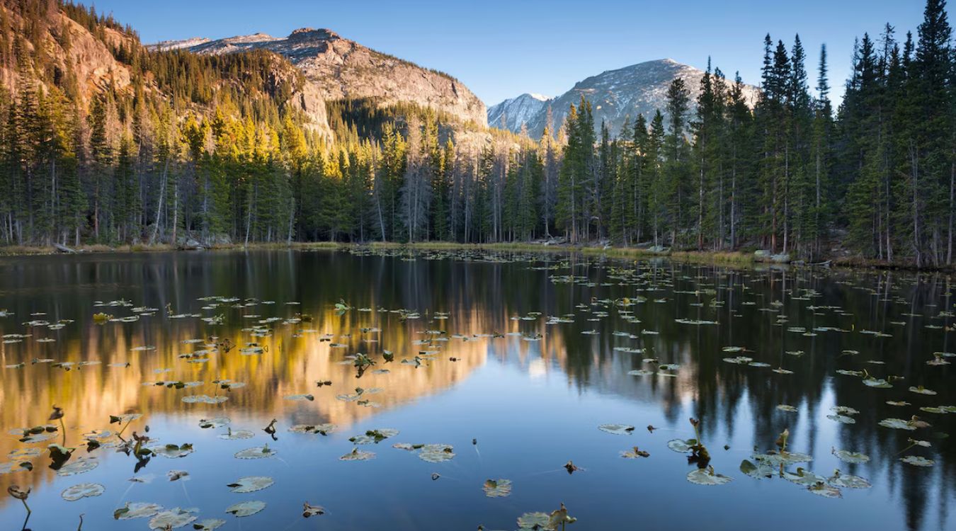 secrets-of-colorados-rocky-mountain-tundra