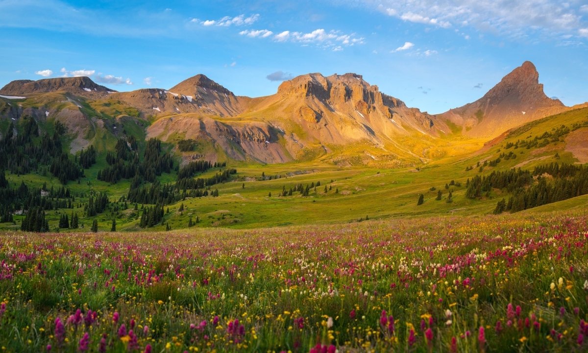 secrets-of-colorados-spiraling-mountain-wildflower-meadows