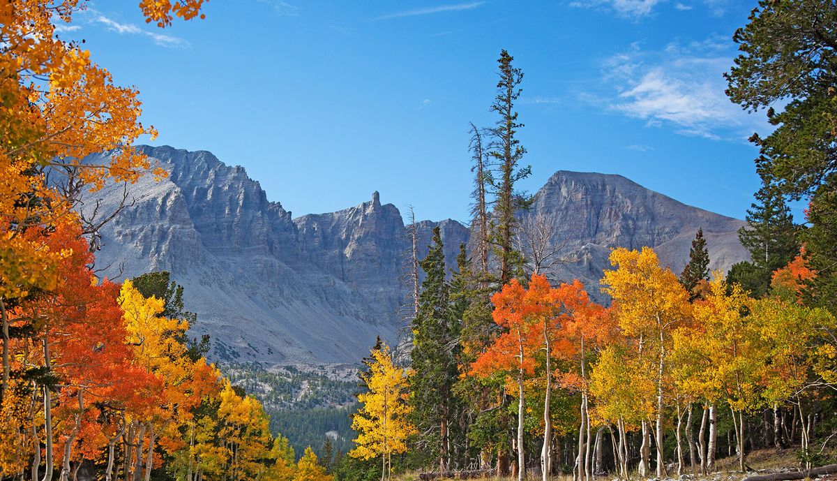 Secrets-Of-Coyote-Territories-In-Nevada8217s-Great-Basin secrets-of-coyote-territories-in-nevadas-great-basin