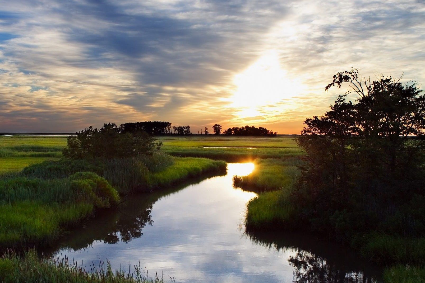 Secrets-Of-Delaware8217s-Bombay-Hook-Marshes secrets-of-delawares-bombay-hook-marshes