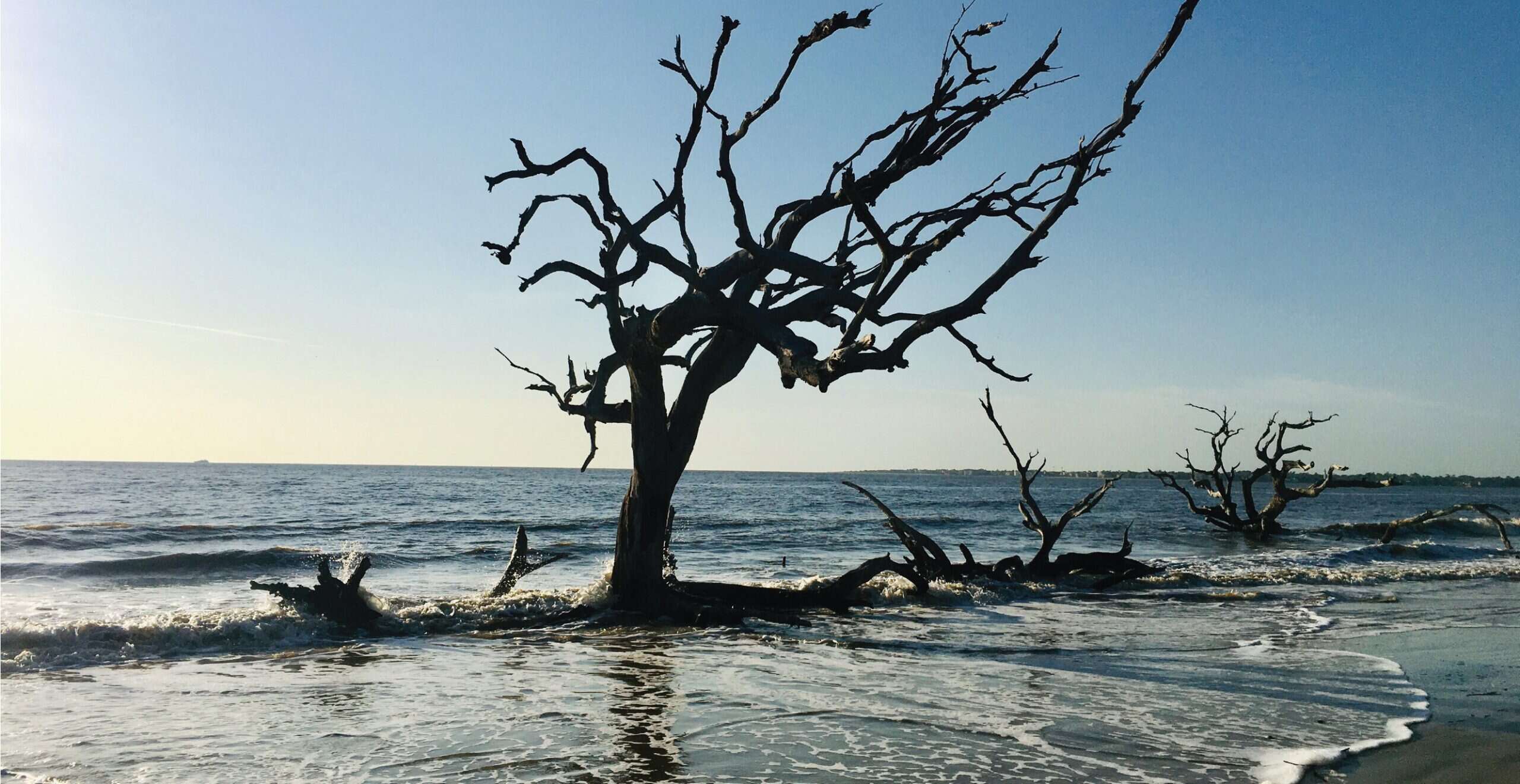 secrets-of-driftwood-beach-galleries-on-jekyll-island