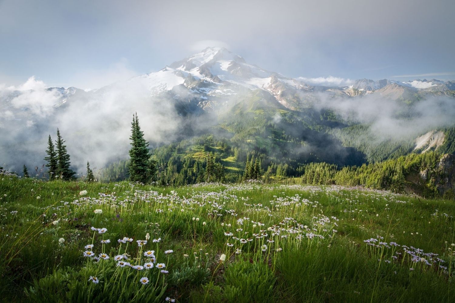 secrets-of-emerald-mountain-cascades-in-washingtons-olympic-peninsula
