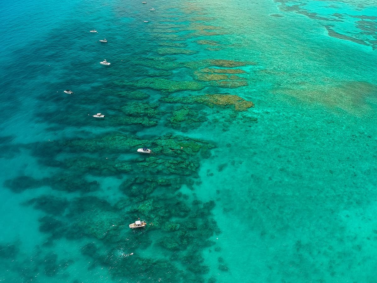 secrets-of-florida-keys-looe-key