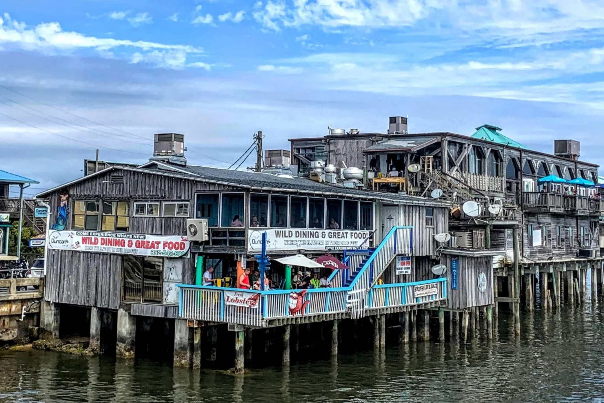 secrets-of-floridas-cedar-key-dolphin-habitats