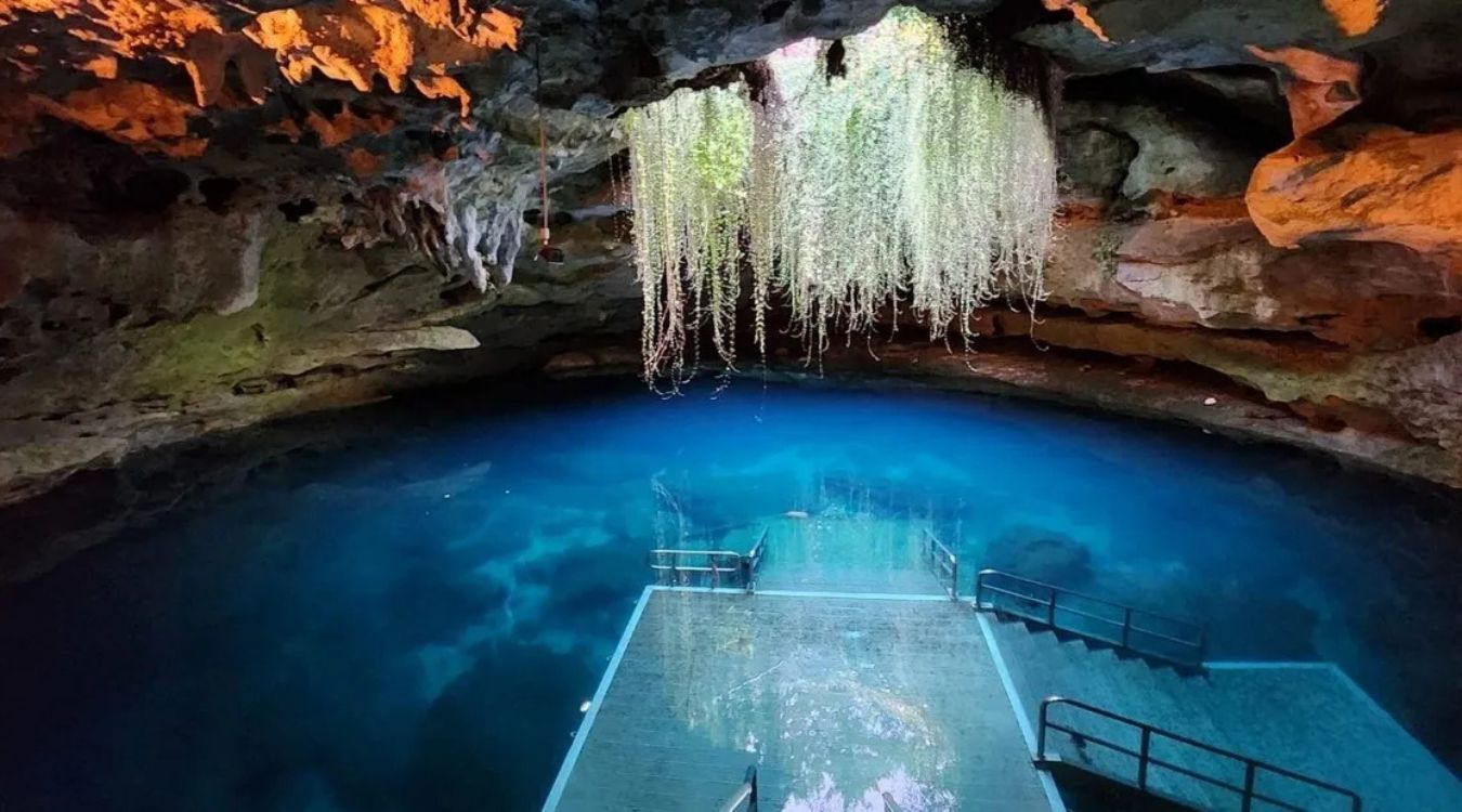 Secrets-Of-Florida8217s-Devil8217s-Den-Caverns secrets-of-floridas-devils-den-caverns
