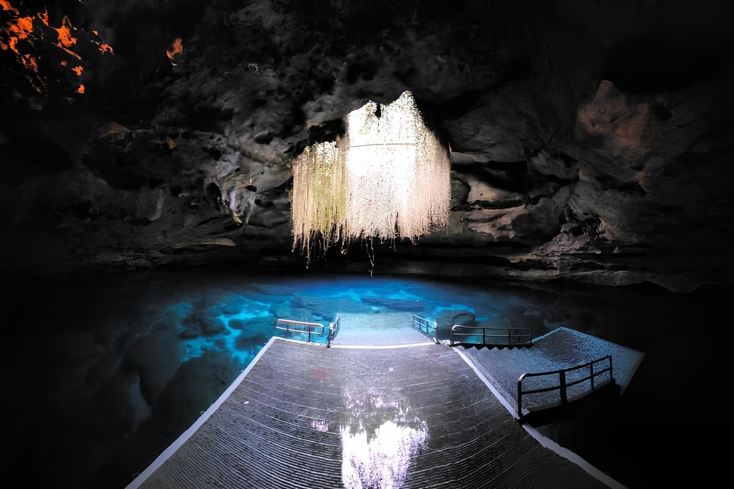 Secrets-Of-Florida8217s-Devil8217s-Den-Cenotes secrets-of-floridas-devils-den-cenotes