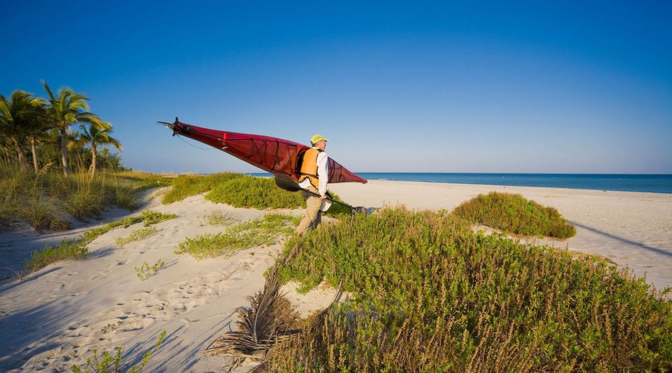 secrets-of-floridas-fort-george-island-ecosystems
