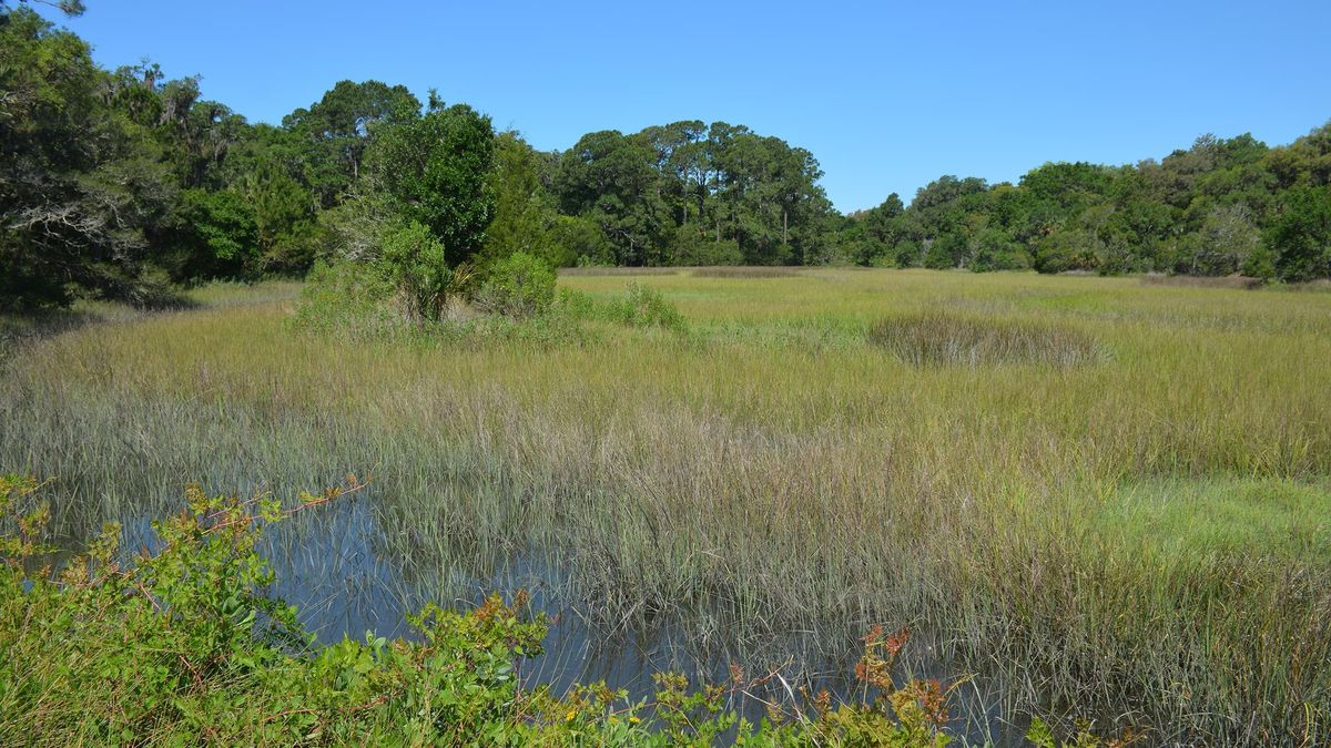 Secrets-Of-Florida8217s-Fort-George-Island-Shell-Mounds secrets-of-floridas-fort-george-island-shell-mounds
