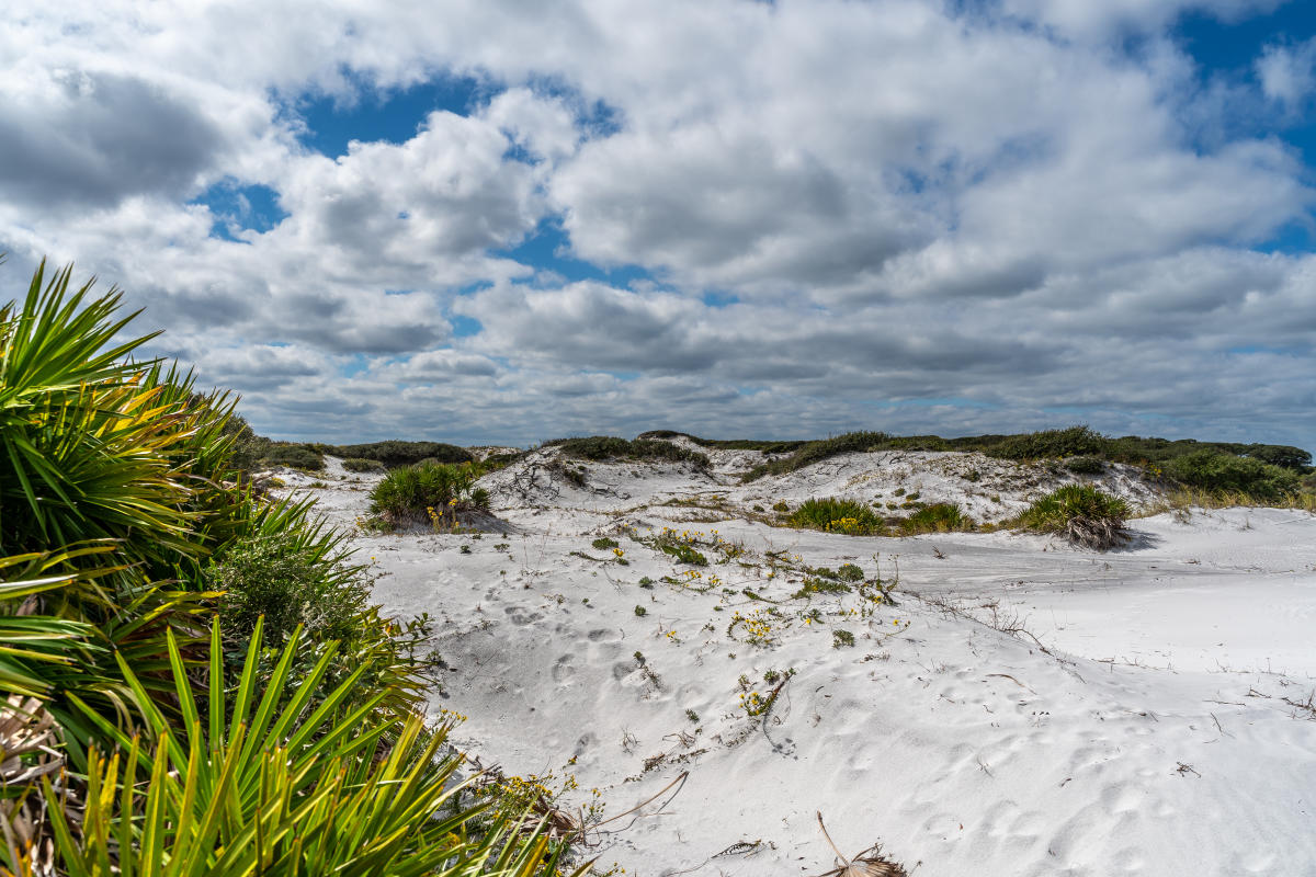 Secrets-Of-Florida8217s-Grayton-Beach-Sand secrets-of-floridas-grayton-beach-sand