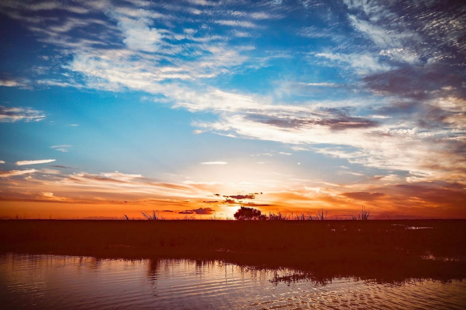 secrets-of-floridas-lake-istokpogas-floating-tussock-islands