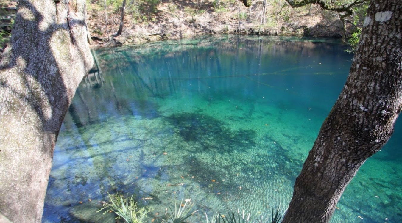 secrets-of-floridas-leon-sinks-sinkholes