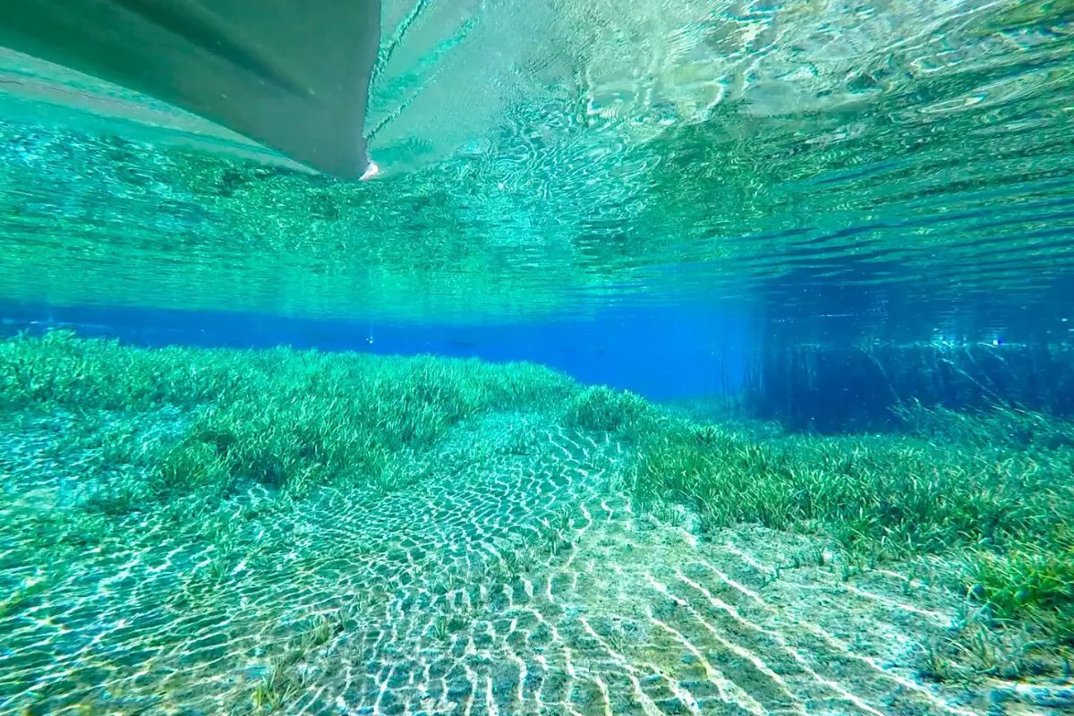 Secrets-Of-Florida8217s-Rainbow-River-Springs secrets-of-floridas-rainbow-river-springs