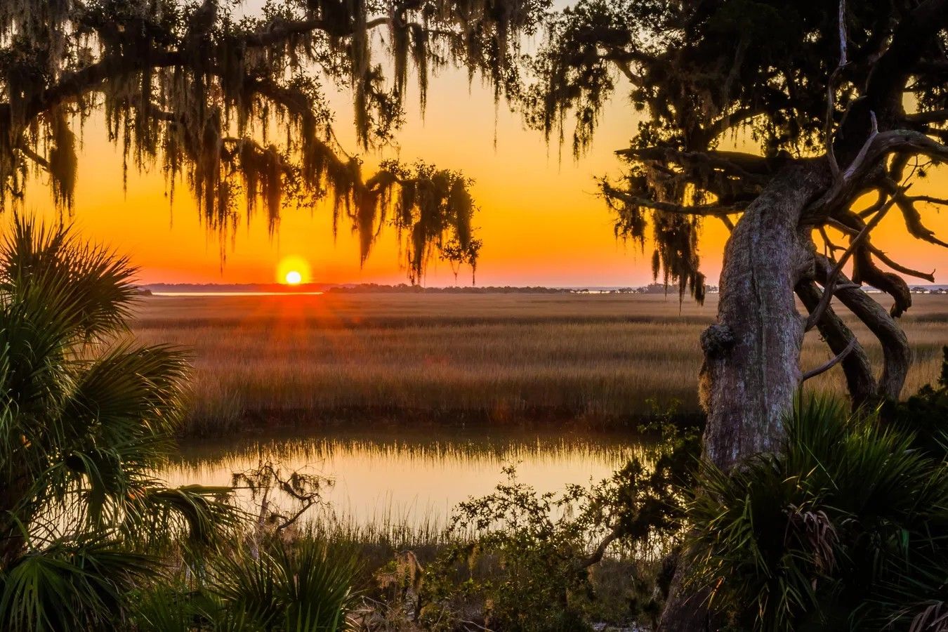 secrets-of-georgias-golden-coast-islands