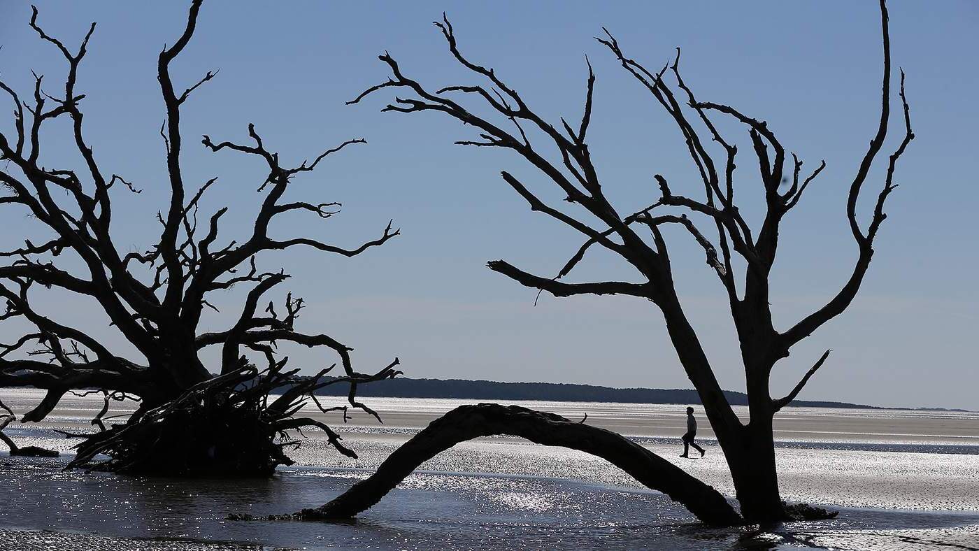 secrets-of-georgias-ossabaw-island-sand-ridges