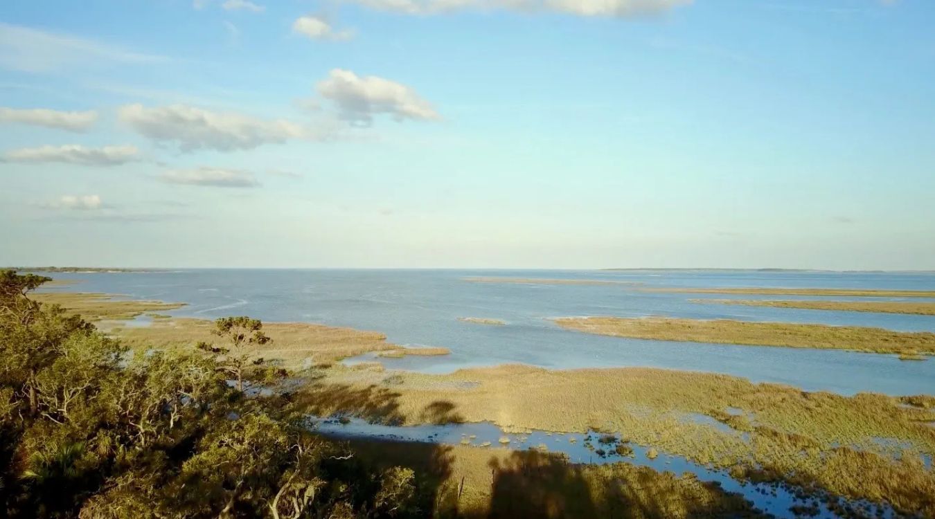 secrets-of-georgias-ossabaw-sound-sandbar-islands