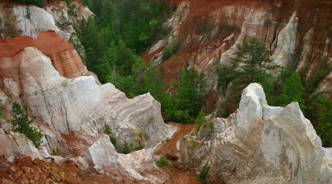 secrets-of-georgias-providence-canyon-forests