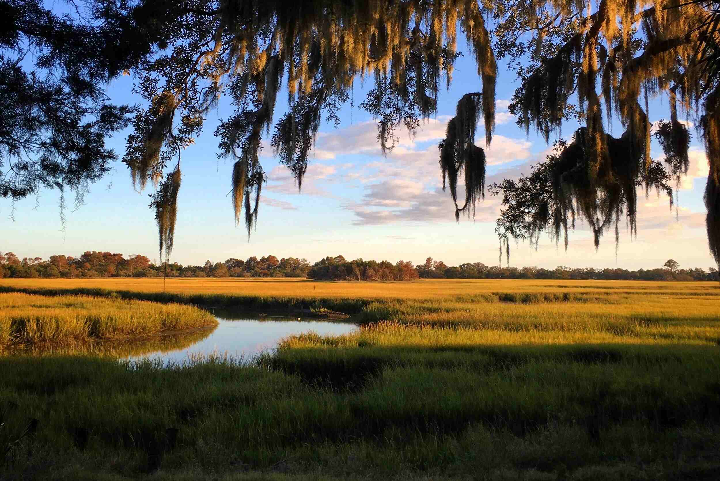 Secrets-Of-Georgia8217s-Shimmering-Coastal-Marshes secrets-of-georgias-shimmering-coastal-marshes