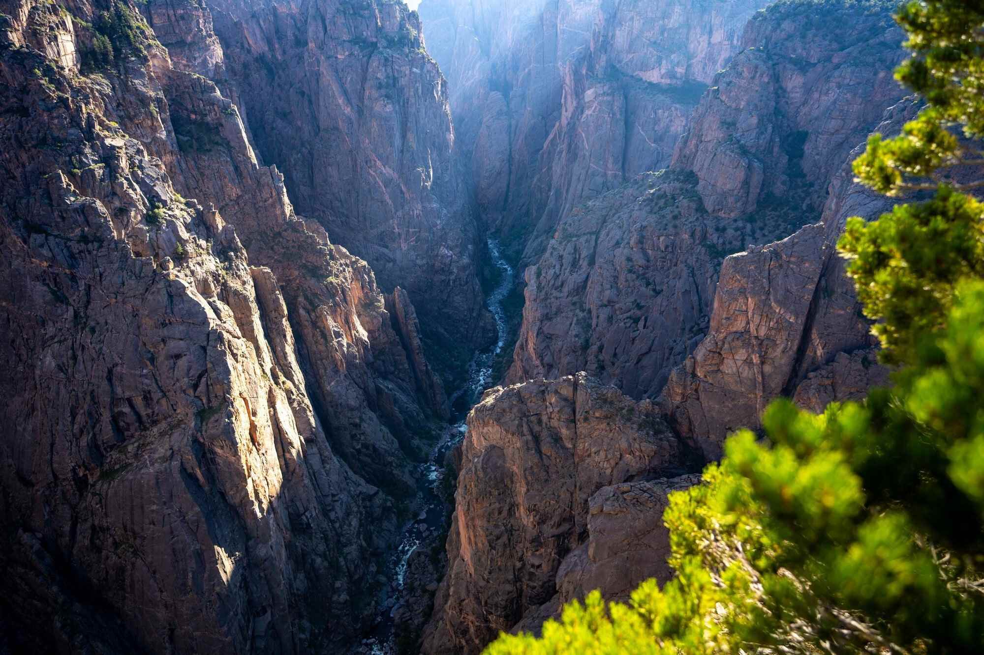 secrets-of-hanging-rock-gardens-in-colorados-black-canyon