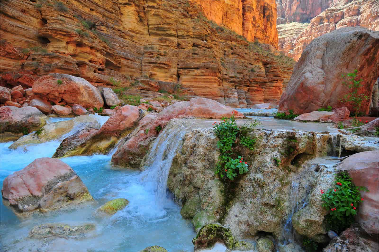 Secrets-Of-Havasu-Canyon8217s-Hanging-Desert-Gardens secrets-of-havasu-canyons-hanging-desert-gardens