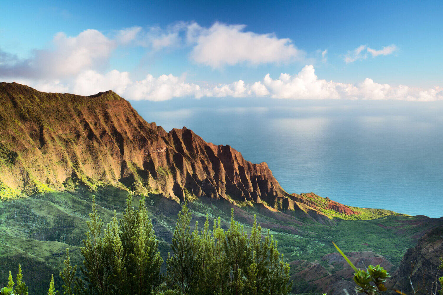 secrets-of-hawaiis-lava-cast-forests