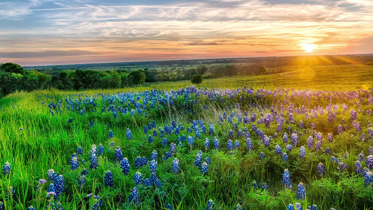 secrets-of-hidden-valley-wildflower-trails-in-texas-hill-country