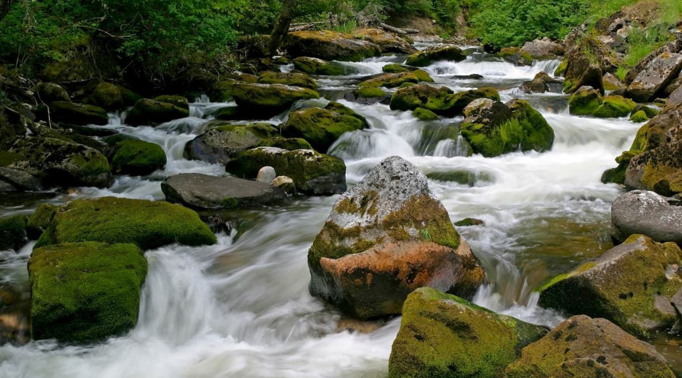 secrets-of-idahos-gospel-hump-wilderness