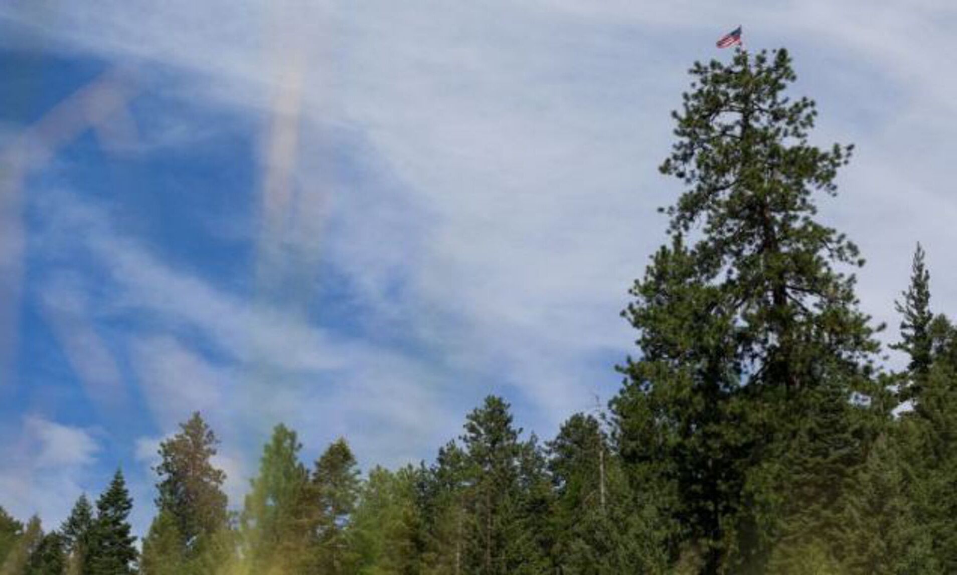Secrets-Of-Idaho8217s-Twisted-Pine-Forests secrets-of-idahos-twisted-pine-forests