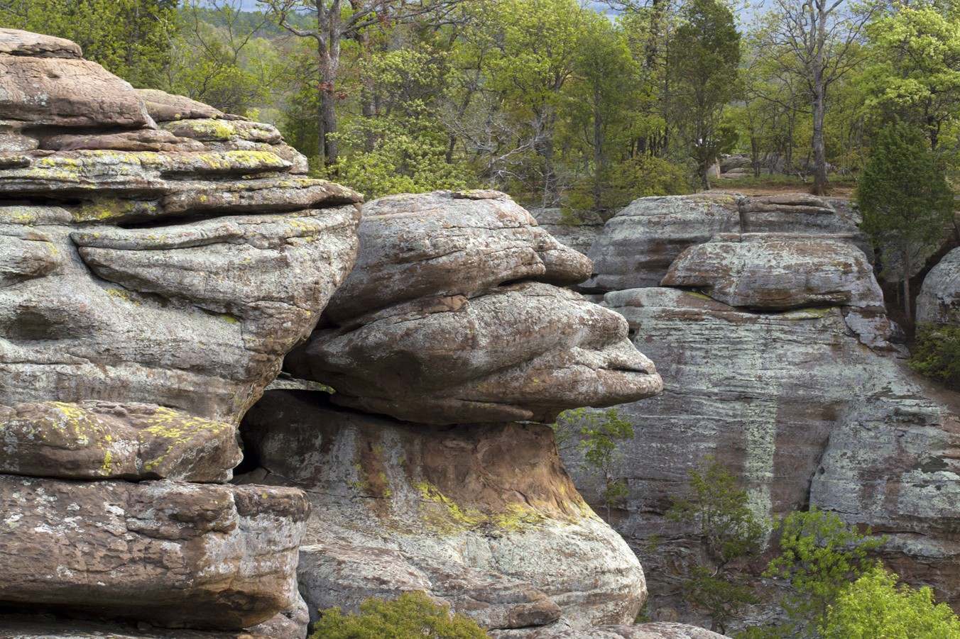 Secrets-Of-Illinois8217s-Towering-Sandstone-Bluffs secrets-of-illinoiss-towering-sandstone-bluffs