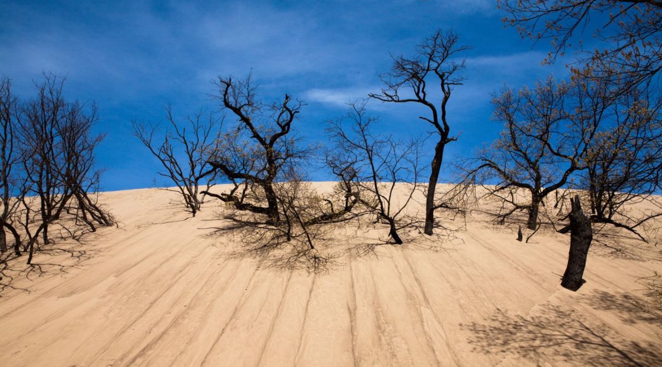 secrets-of-indianas-alabaster-beach-dune-fields