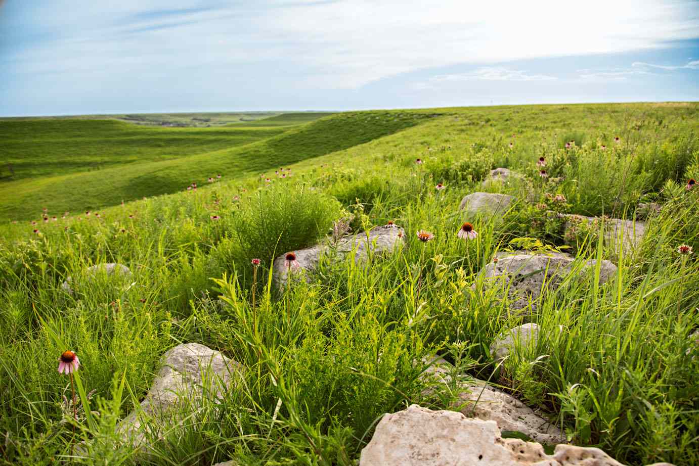 Secrets-Of-Kansas8217s-Chase-County-Grasslands secrets-of-kansass-chase-county-grasslands
