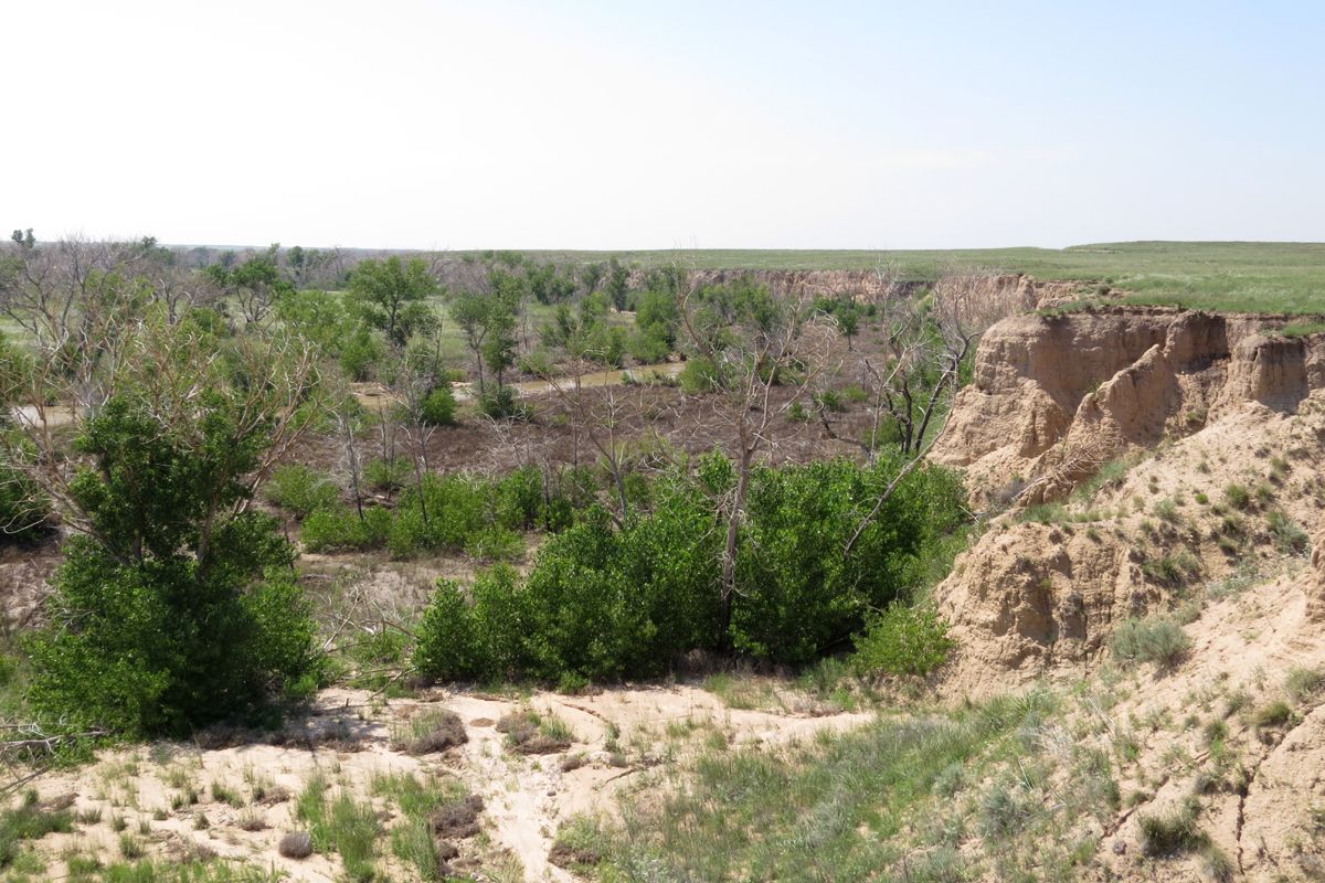 Secrets-Of-Kansas8217s-Cimarron-National-Grassland secrets-of-kansass-cimarron-national-grassland