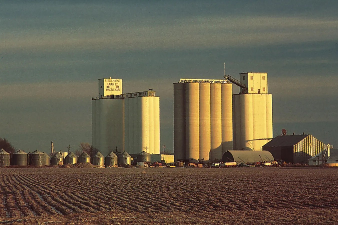 Secrets-Of-Kansas8217s-Historic-Grain-Growing-Operations secrets-of-kansass-historic-grain-growing-operations