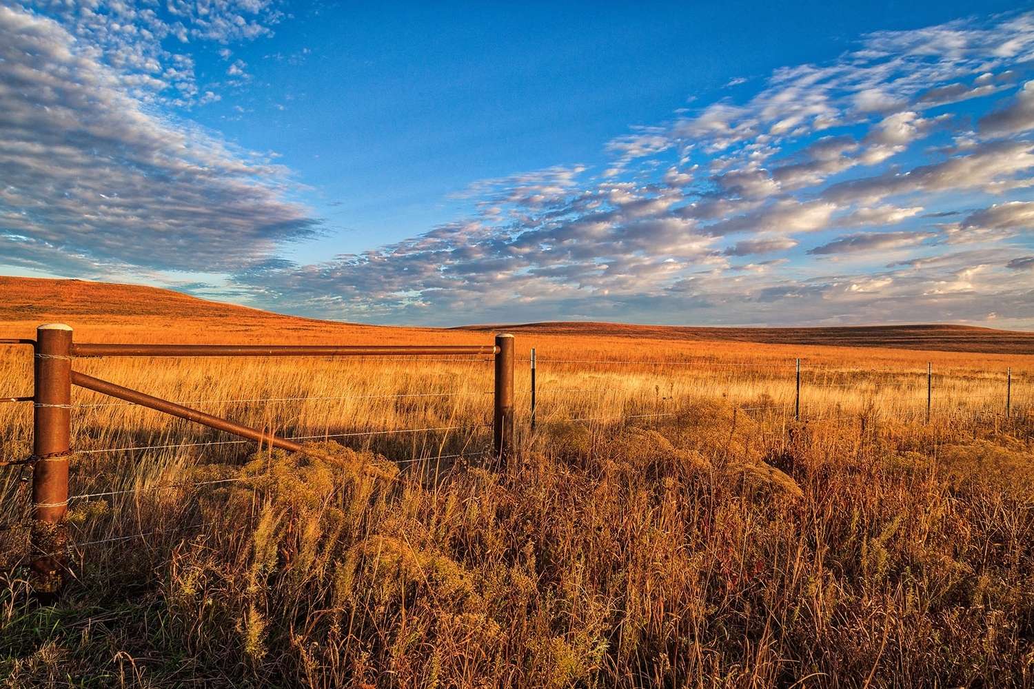 secrets-of-kansass-tallgrass-prairie-national-preserve